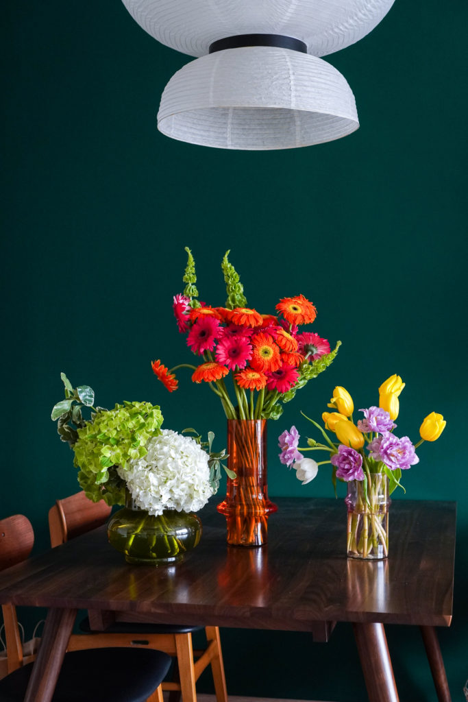Wonderland Botanicals Paprika Wonderland Botanicals Collaboration Paprika 7