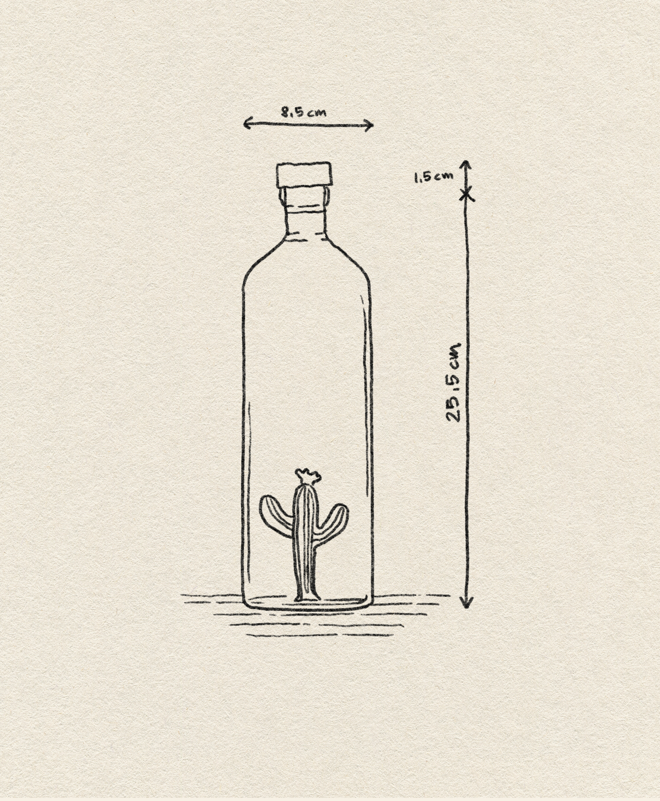 Ichendorf Milano Desert Plants Bottle Green Cactus 3