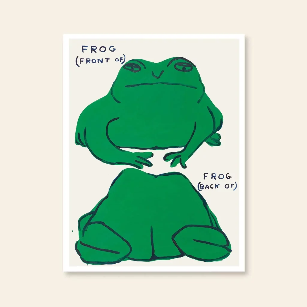 Shrig Shop David Shrigley Frog Front Of Frog Back Of 60x80 Poster 1