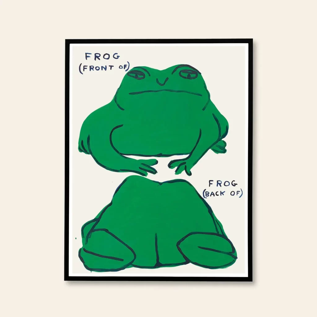 Shrig Shop David Shrigley Frog Front Of Frog Back Of 60x80 Poster 2