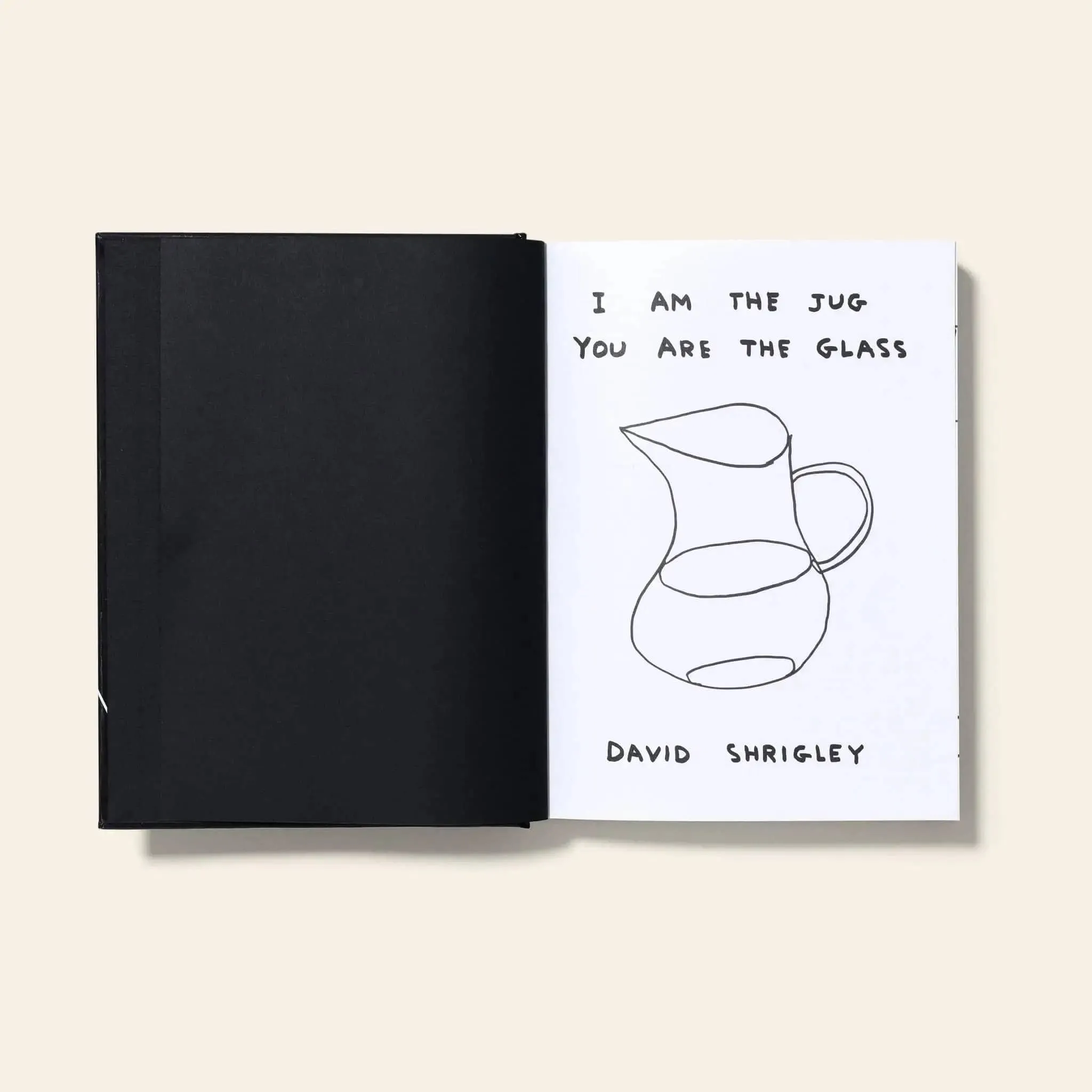 Shrig Shop David Shrigley I Am The Jug You Are The Glass Book 4