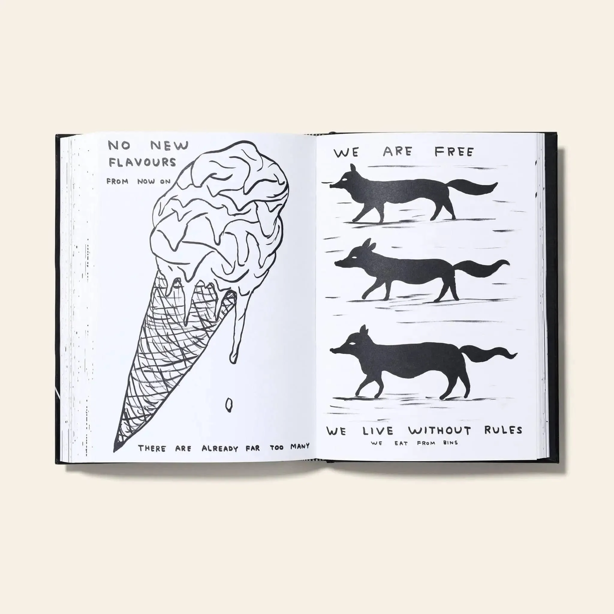 Shrig Shop David Shrigley I Am The Jug You Are The Glass Book 9