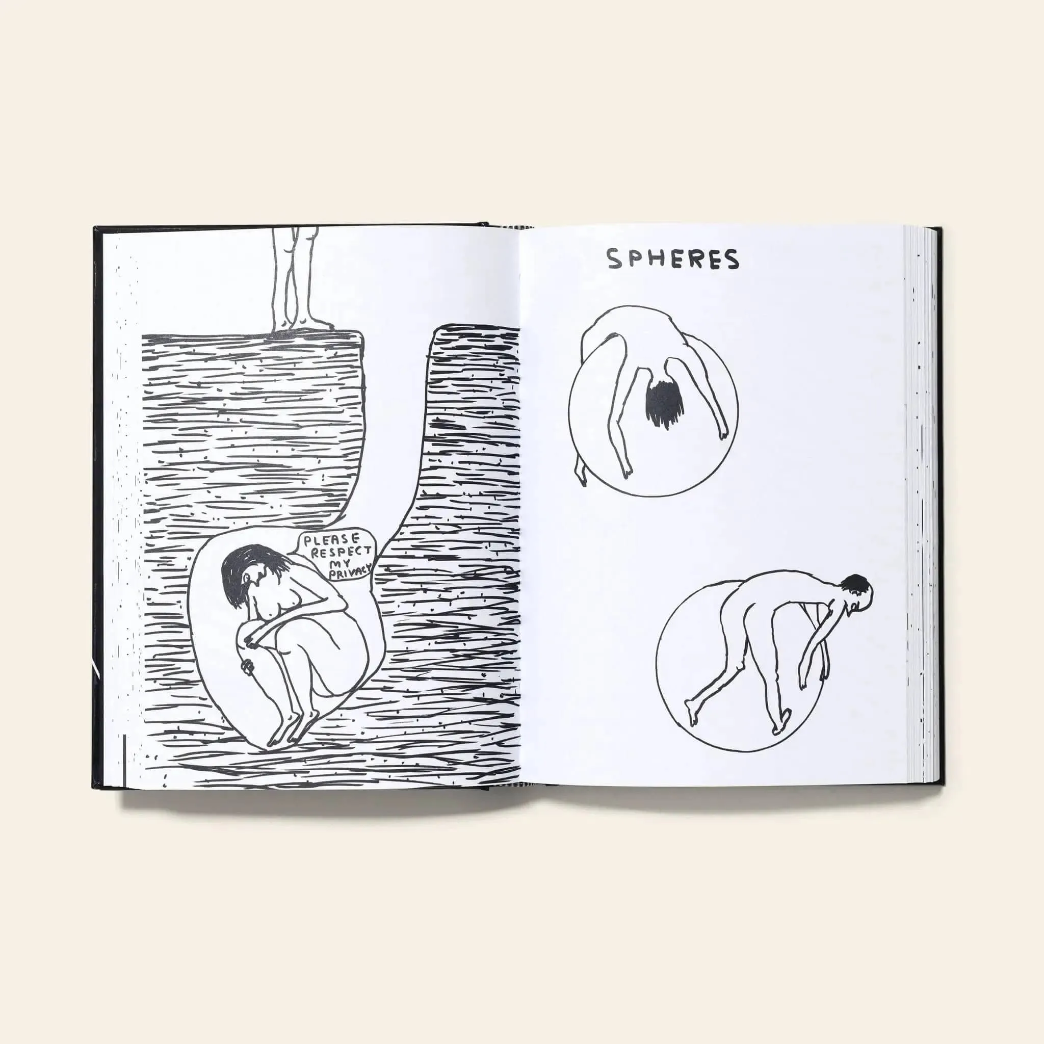 Shrig Shop David Shrigley I Am The Jug You Are The Glass Book 11