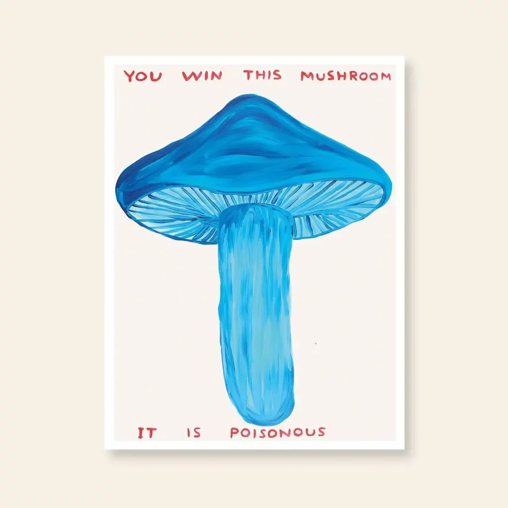 Shrig Shop David Shrigley You Win This Mushroom 60x80 Poster 1
