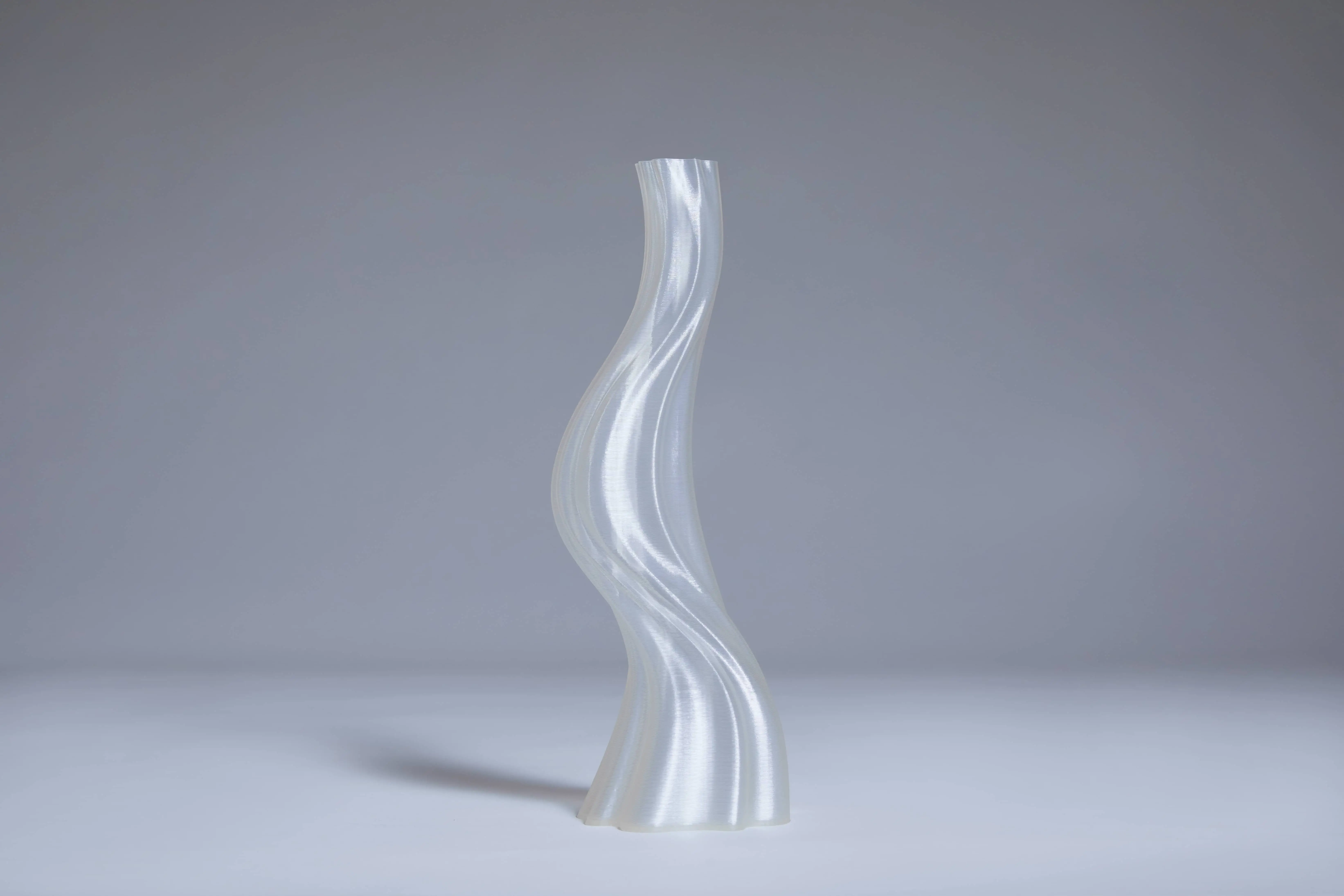 Argot Studio Les Hortenses Vase Small Transparent 3