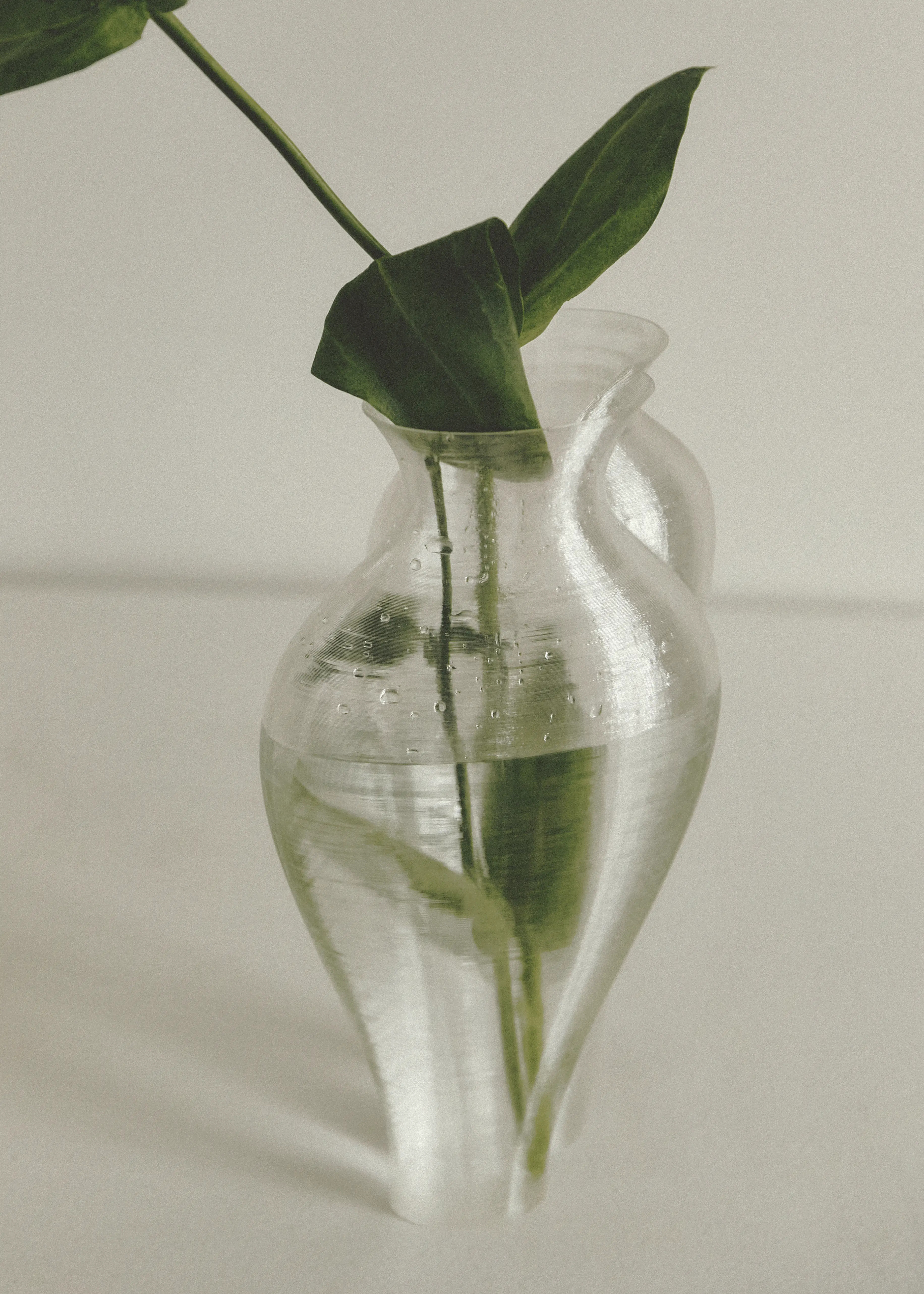Argot Studio Soeurs Vase Transparent 2